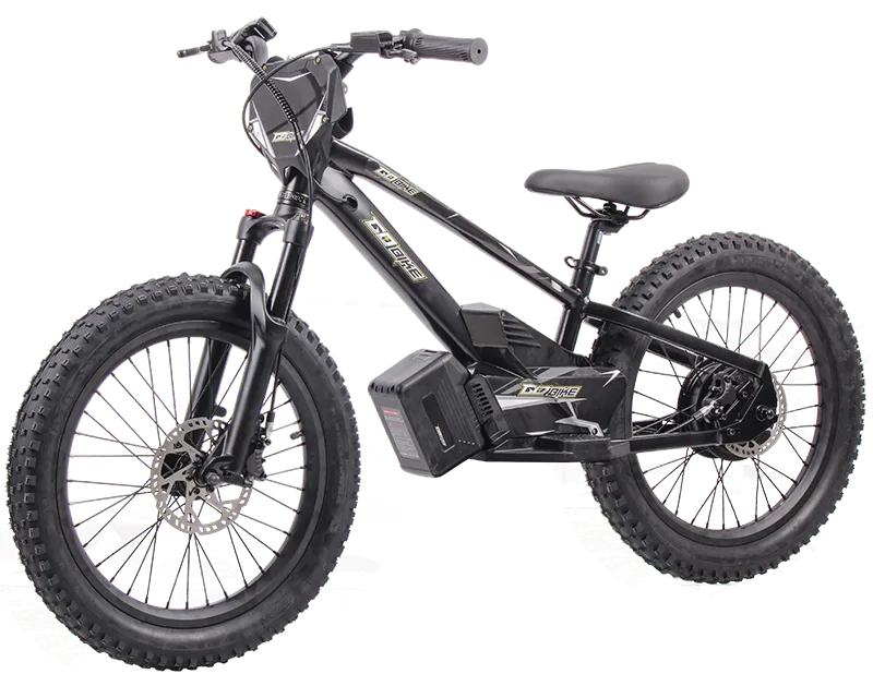 Electric bike, Ebike for kids