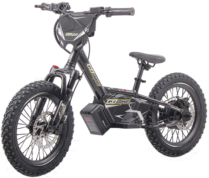 Electric bike