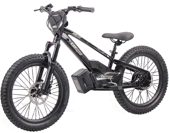 Electric bike