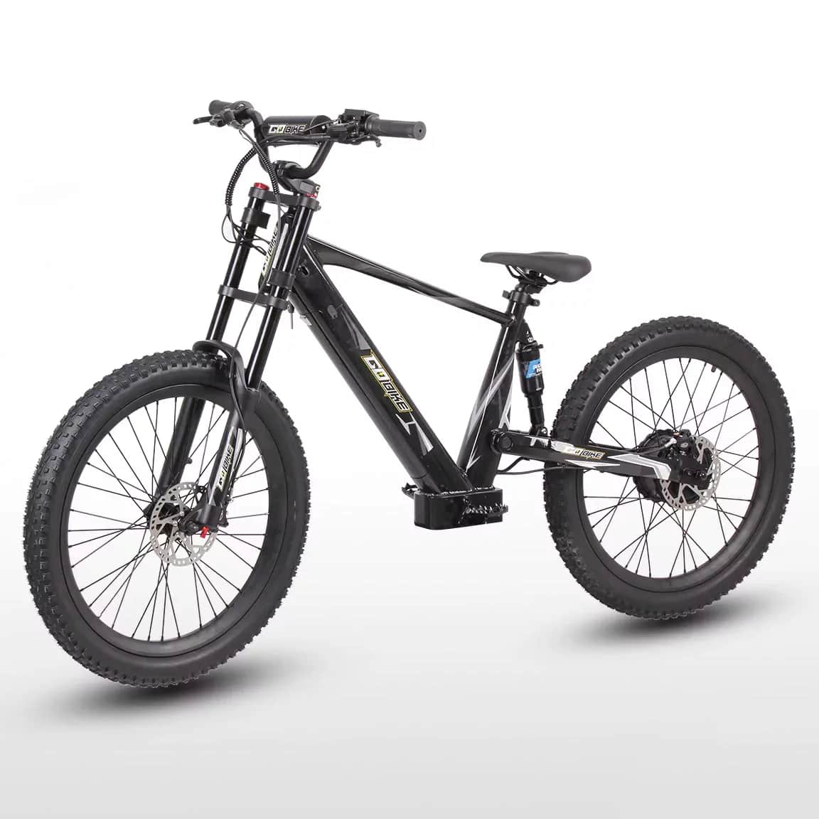 GoBike 24 kids electric bike