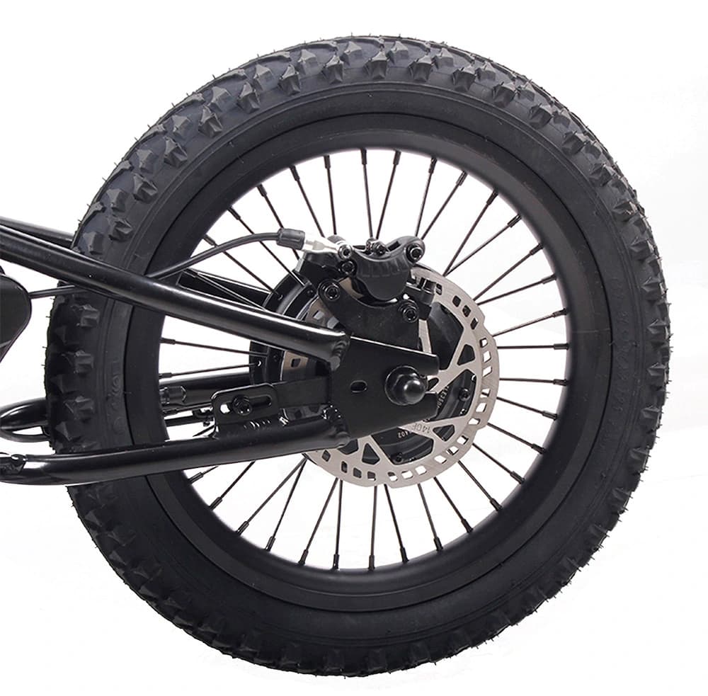 The GoBike 16's rear wheel showcasing the all-weather disc brake system.