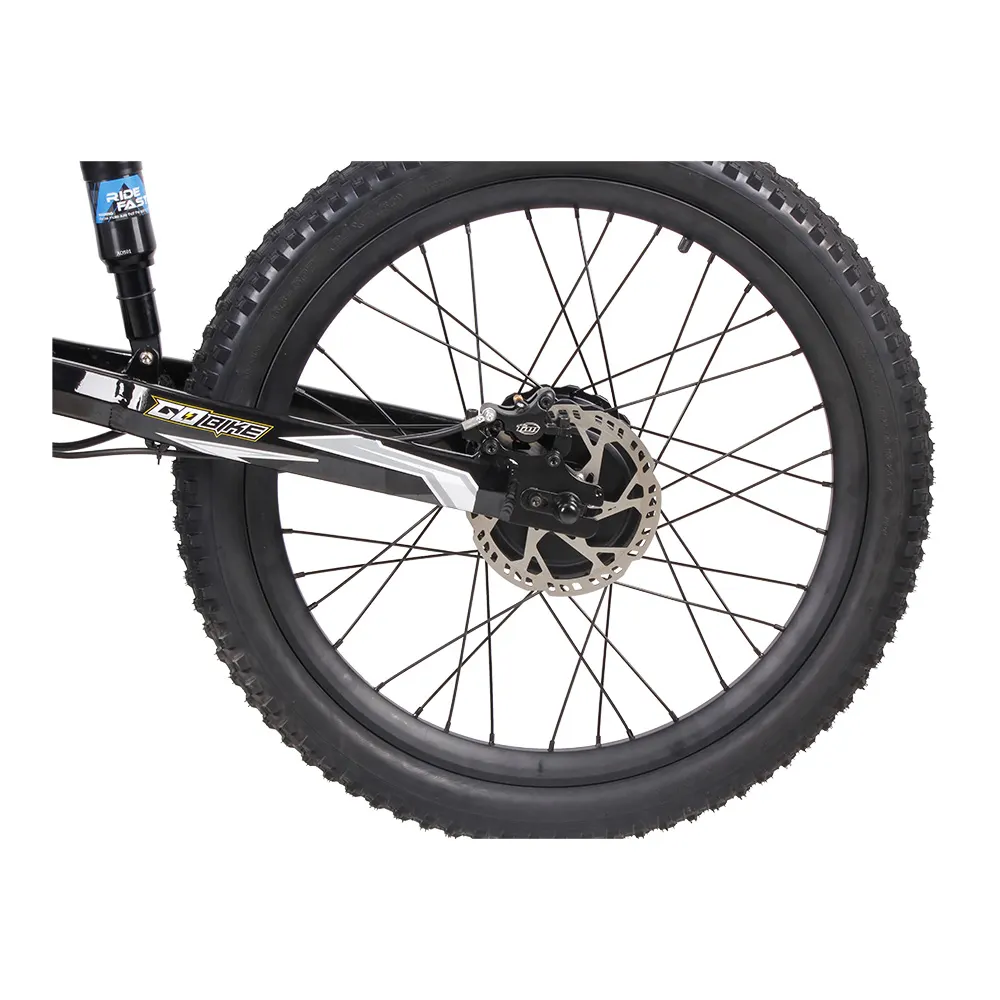 Hydraulic disc brakes on the GoBike 24 inch e-bike.