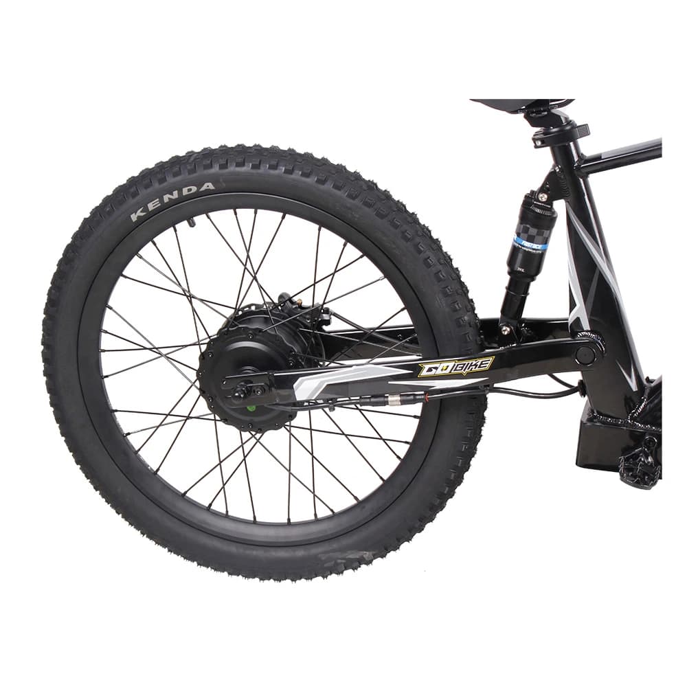 The massive 1500W brushless hub motor on the GoBike 24 Pro.