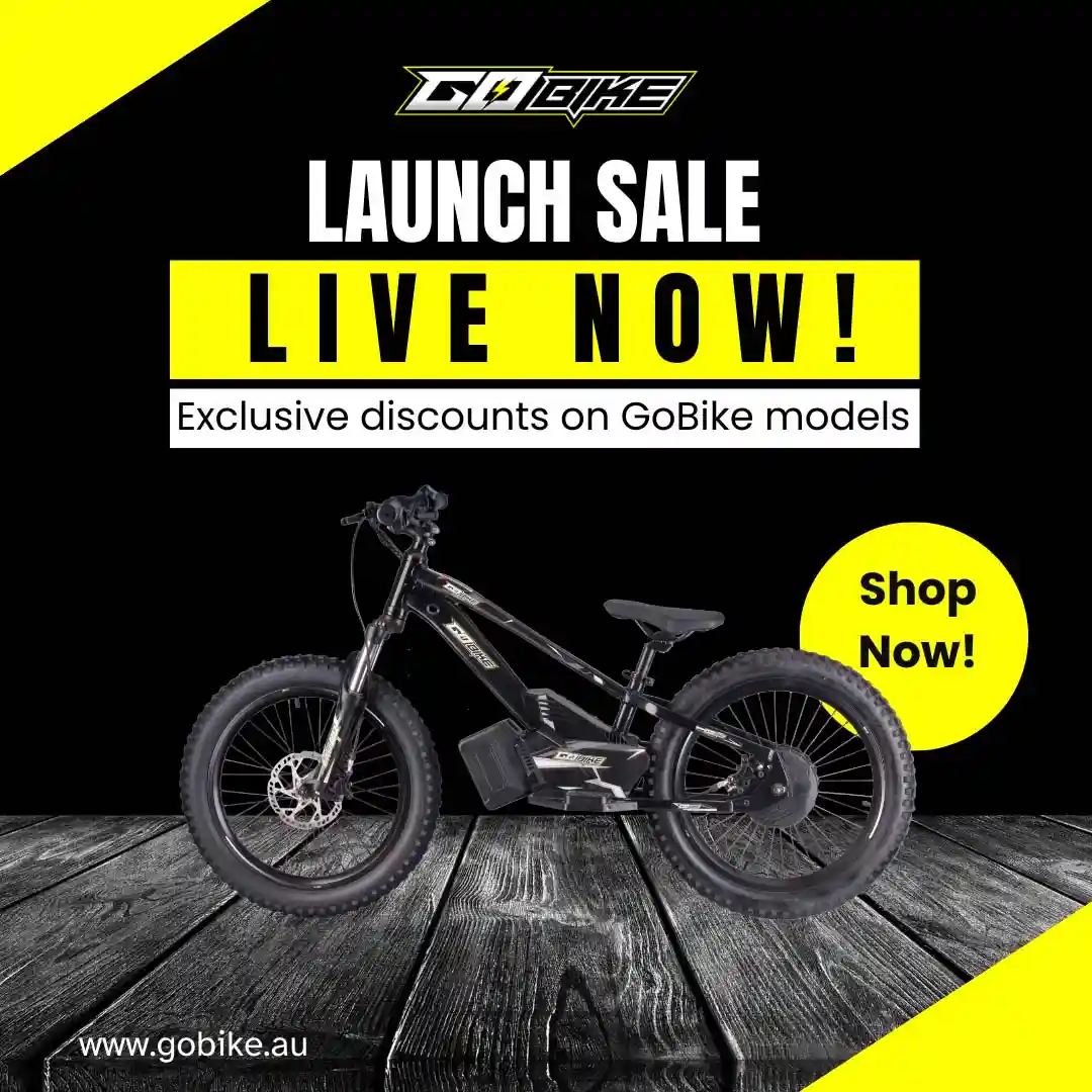 Keep the Good Times Rolling: A Simple GoBike Maintenance Checklist