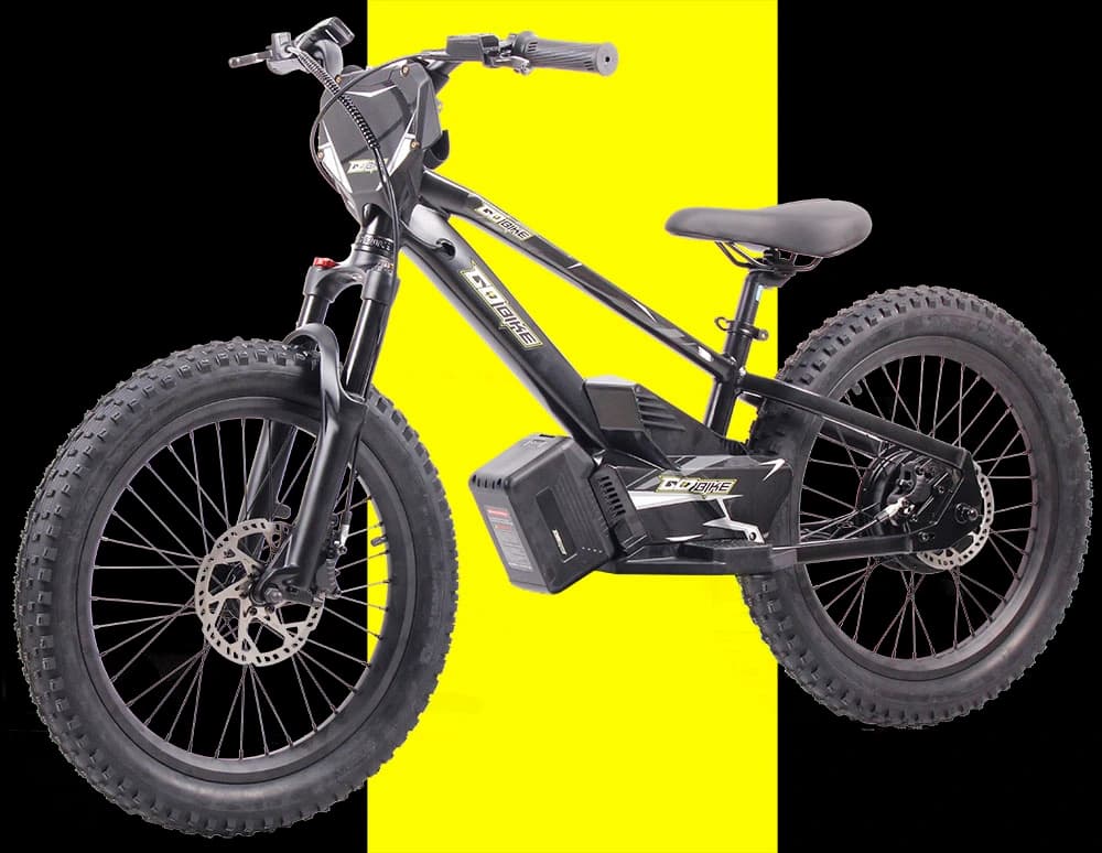 GoBike 20 Electric Bike for teens