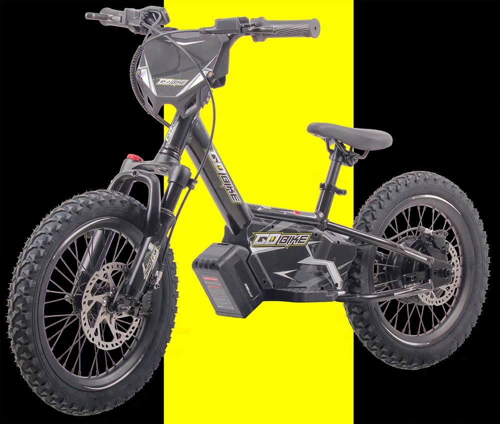 GoBike 16 Electric Bike