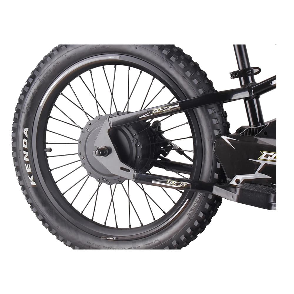 The high-torque rear hub motor on the GoBike 20 electric bike.