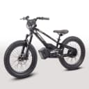 GoBike 20 Inch Electric Bike for Kids & Teens โ Ages 9โ16