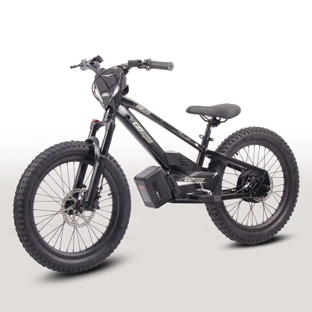 GoBike 20 Inch Electric Bike for Kids & Teens โ Ages 9โ16