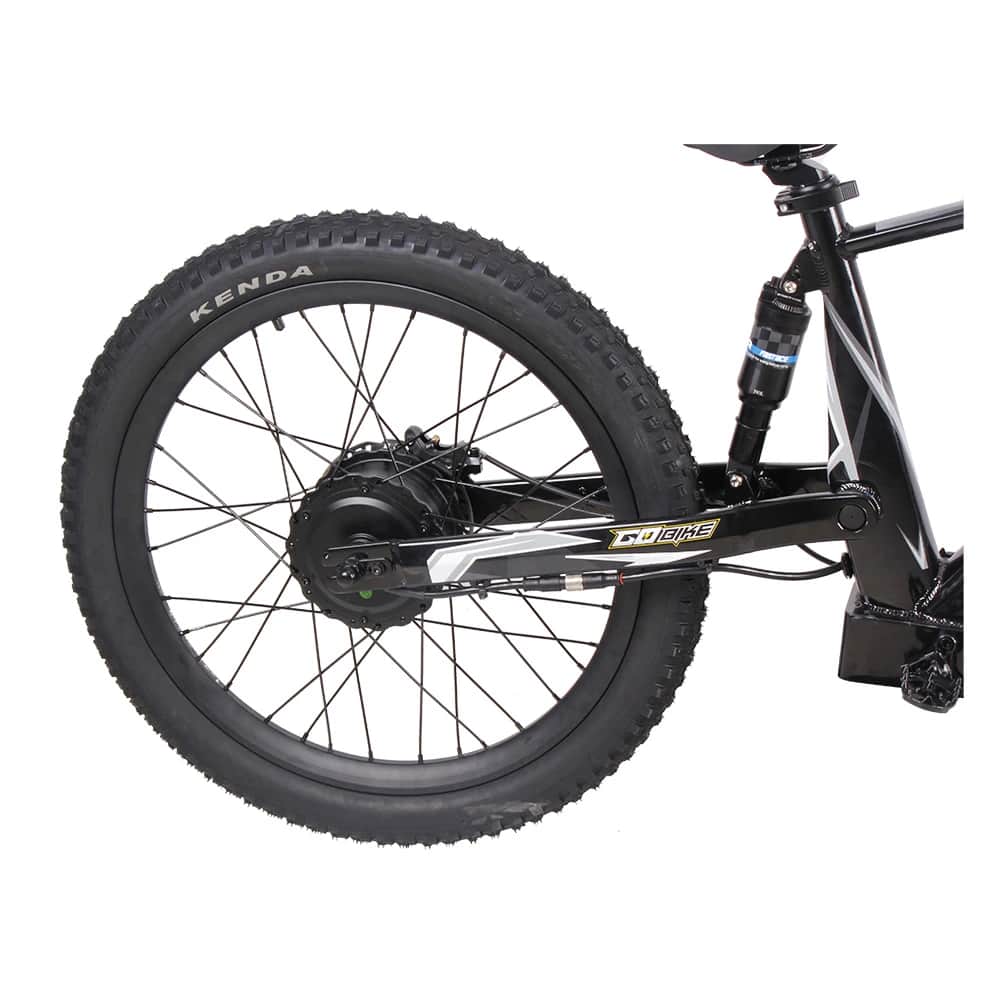 The massive 2500W brushless hub motor on the GoBike 24 Pro.
