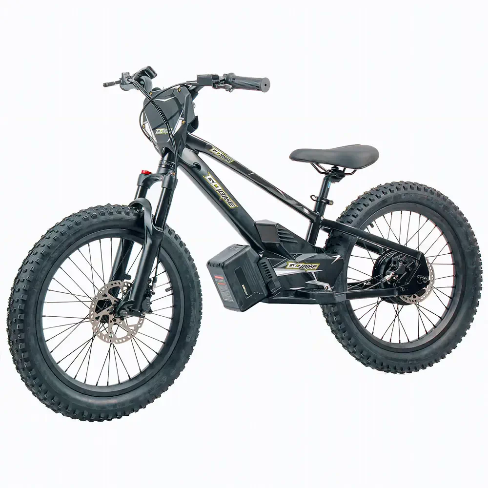 GoBike 20 Inch Electric Bike for Kids & Teens –For Ages 8–14 thumbnail 4