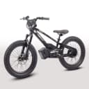 GoBike 20 Inch Electric Bike for Kids & Teens –For Ages 8–14