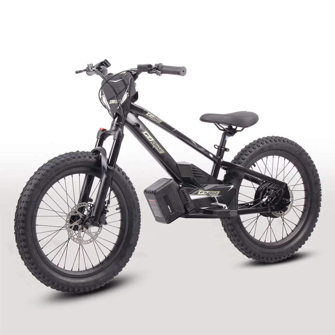 GoBike 20 Inch Electric Bike for Kids & Teens –For Ages 8–14