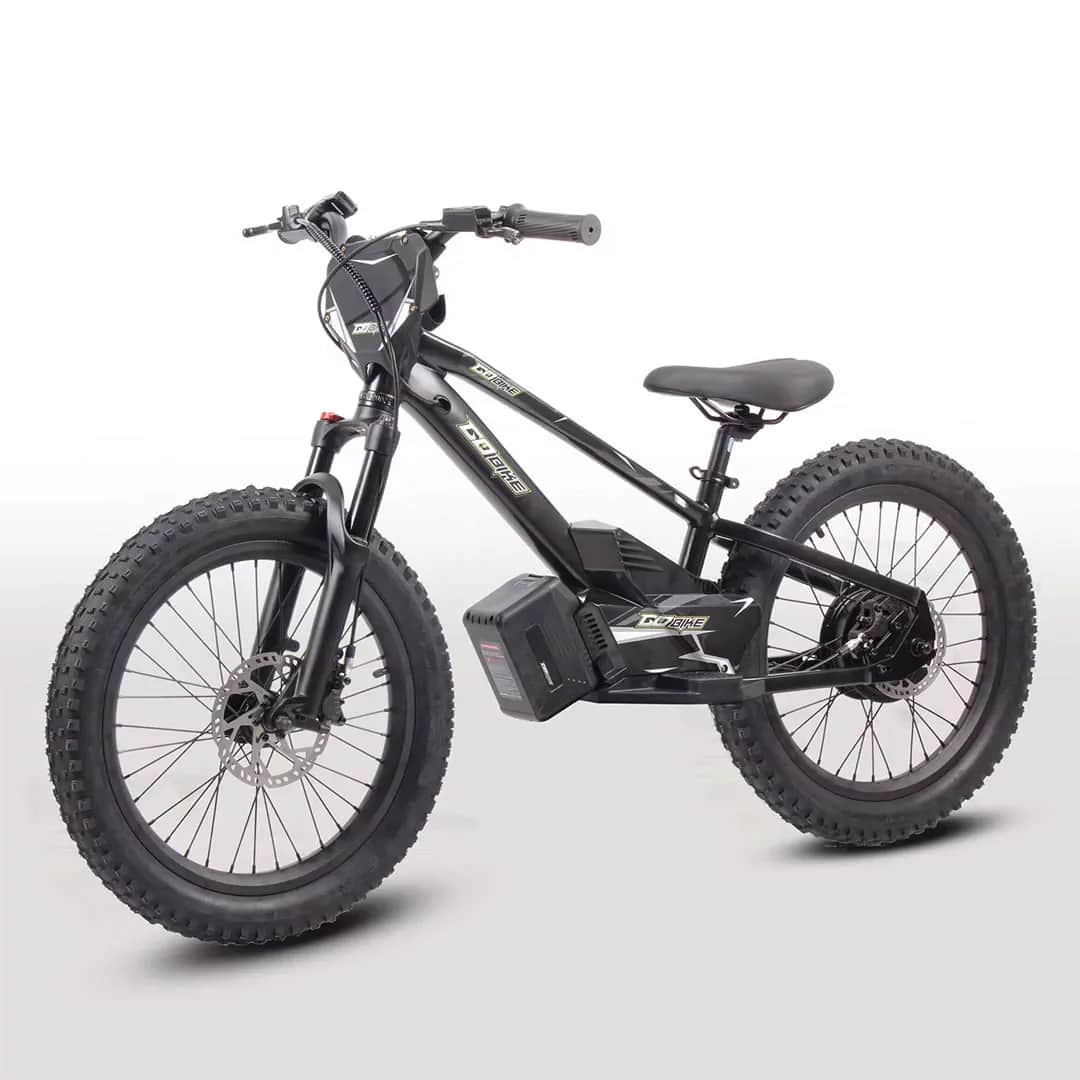 GoBike 20 kids electric bike