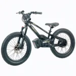 Electric bikes for sale