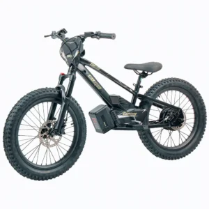 Electric bikes for sale