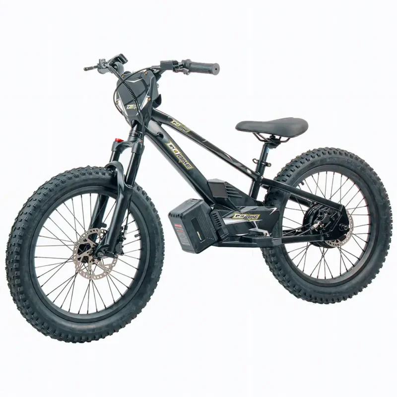 Electric bikes for sale