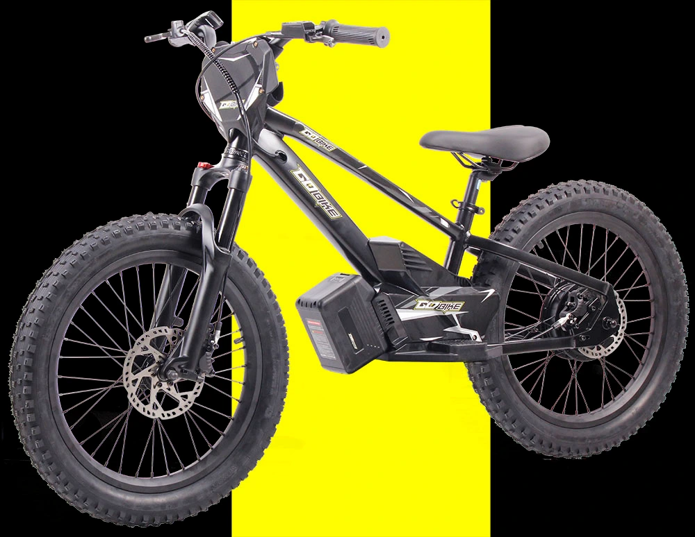 GoBike 20 Electric Bike for teens, a powerful weapon for adventure